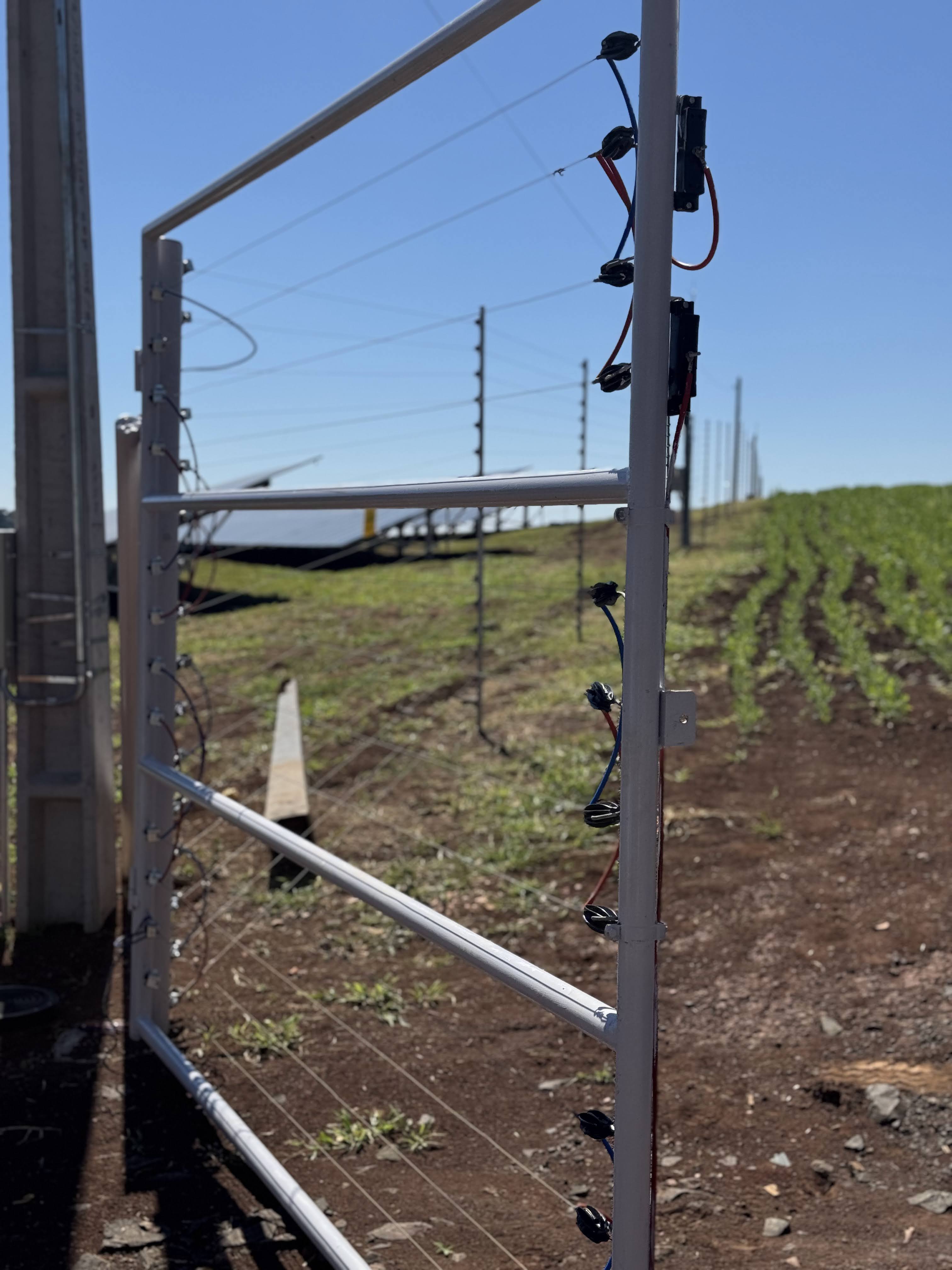 Por que usinas estão migrando para cerca perimetral ativa?